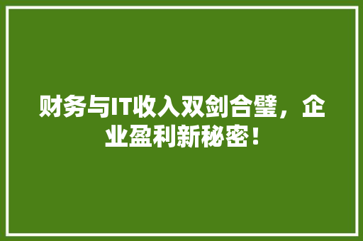 财务与IT收入双剑合璧，企业盈利新秘密！ 必应SEO