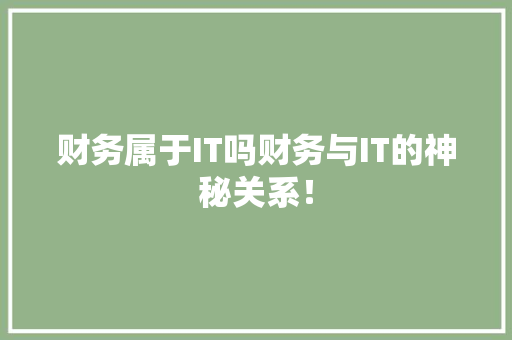 财务属于IT吗财务与IT的神秘关系！ GoogleSEO