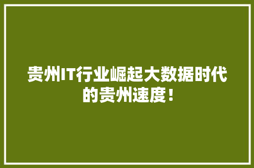 贵州IT行业崛起大数据时代的贵州速度！ 必应SEO