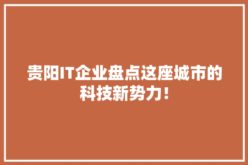 贵阳IT企业盘点这座城市的科技新势力！ 百度SEO