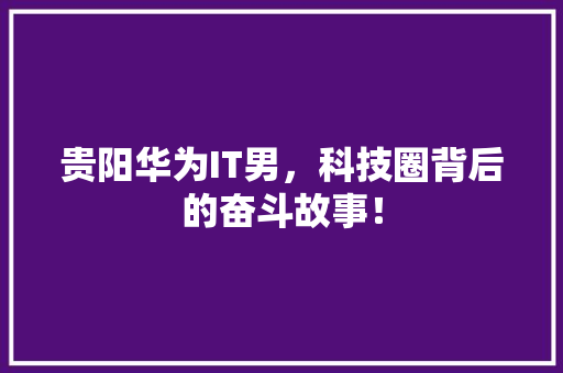 贵阳华为IT男，科技圈背后的奋斗故事！ 百度SEO