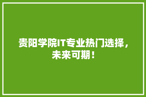贵阳学院IT专业热门选择，未来可期！ 百度SEO