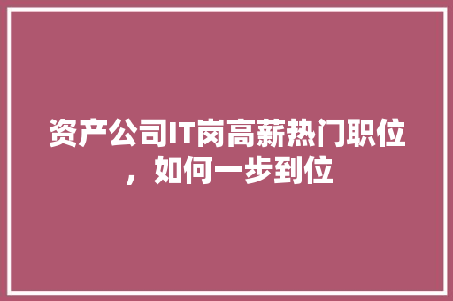 资产公司IT岗高薪热门职位，如何一步到位 百度SEO