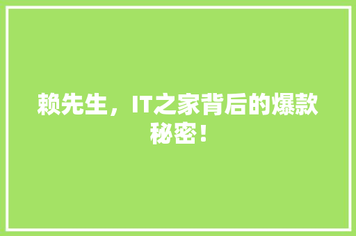 赖先生，IT之家背后的爆款秘密！ 百度SEO