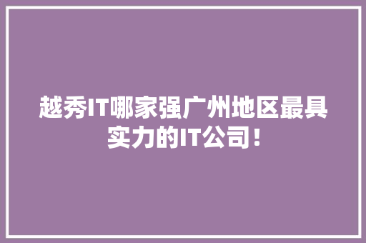 越秀IT哪家强广州地区最具实力的IT公司！ 必应SEO