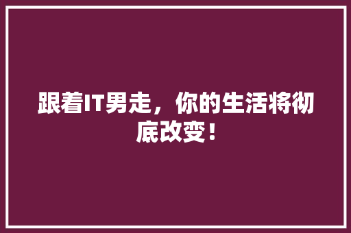 跟着IT男走，你的生活将彻底改变！ 必应SEO