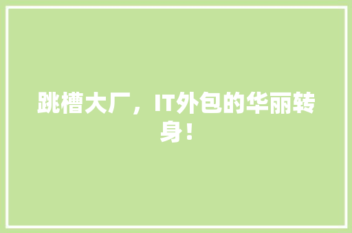 跳槽大厂，IT外包的华丽转身！ 必应SEO