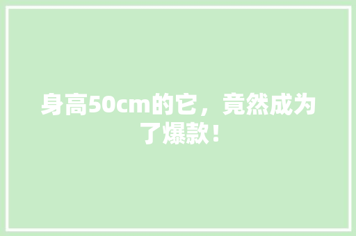 身高50cm的它，竟然成为了爆款！ 搜狗SEO
