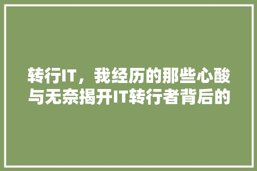 转行IT，我经历的那些心酸与无奈揭开IT转行者背后的悲哀 必应SEO