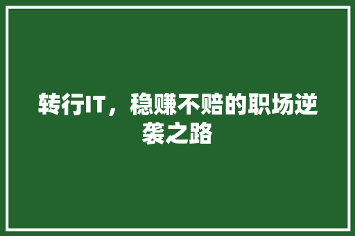 转行IT，稳赚不赔的职场逆袭之路 百度SEO