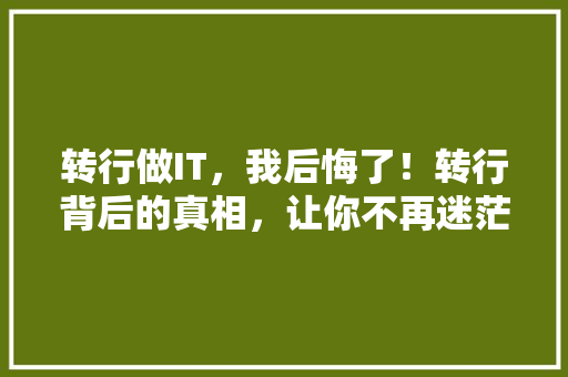 转行做IT，我后悔了！转行背后的真相，让你不再迷茫 神马SEO
