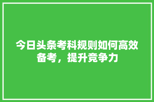 今日头条考科规则如何高效备考，提升竞争力 搜狗SEO