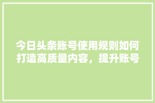 今日头条账号使用规则如何打造高质量内容，提升账号影响力 百度SEO