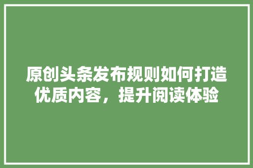 原创头条发布规则如何打造优质内容，提升阅读体验 百度SEO