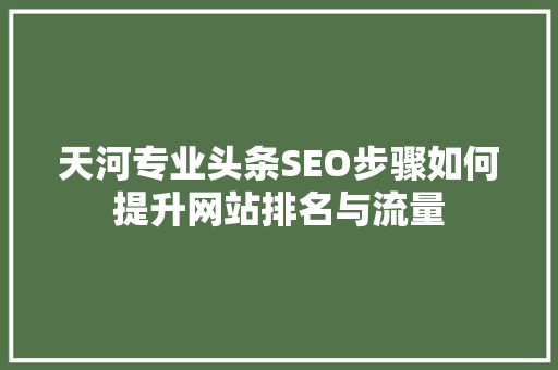 天河专业头条SEO步骤如何提升网站排名与流量 神马SEO