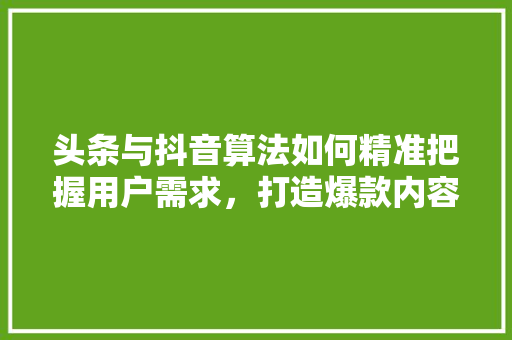 头条与抖音算法如何精准把握用户需求，打造爆款内容 神马SEO