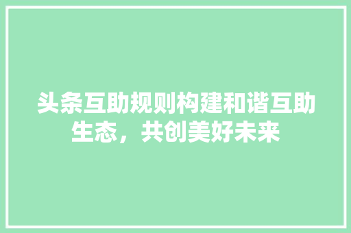头条互助规则构建和谐互助生态，共创美好未来