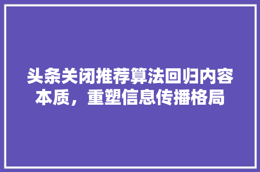 头条关闭推荐算法回归内容本质，重塑信息传播格局 神马SEO