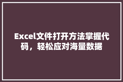 Excel文件打开方法掌握代码，轻松应对海量数据 百度SEO