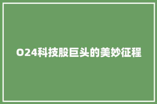 O24科技股巨头的美妙征程