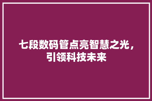 七段数码管点亮智慧之光，引领科技未来 百度SEO