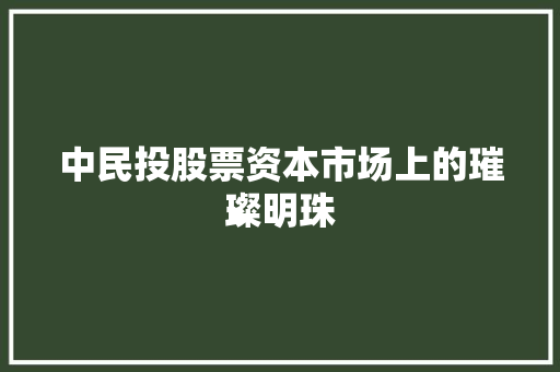 中民投股票资本市场上的璀璨明珠 必应SEO