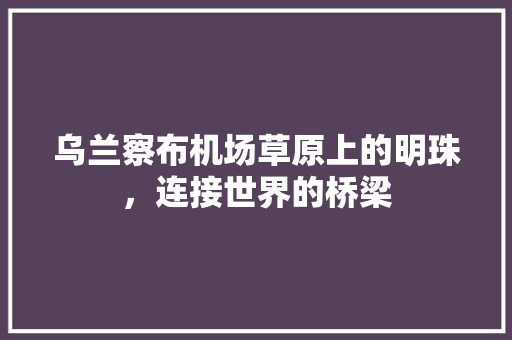 乌兰察布机场草原上的明珠，连接世界的桥梁 百度SEO