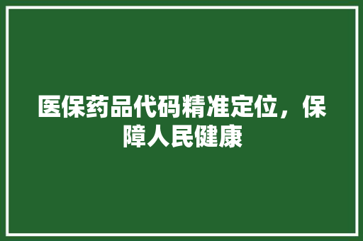 医保药品代码精准定位，保障人民健康 百度SEO
