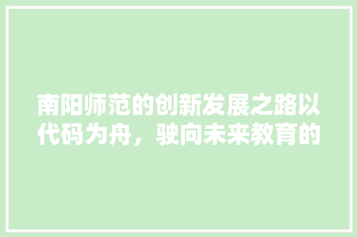 南阳师范的创新发展之路以代码为舟，驶向未来教育的彼岸 必应SEO