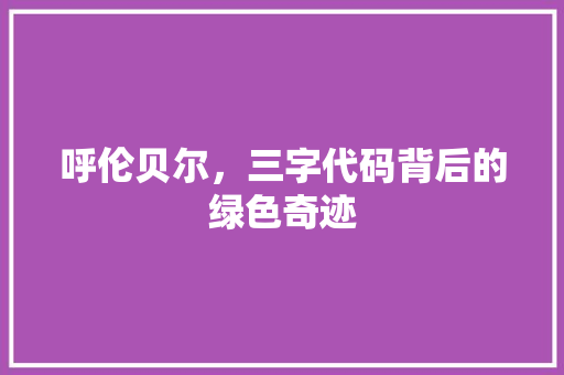 呼伦贝尔，三字代码背后的绿色奇迹 GoogleSEO