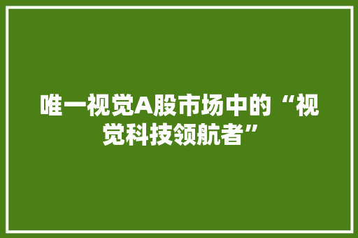 唯一视觉A股市场中的“视觉科技领航者”