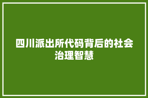 四川派出所代码背后的社会治理智慧