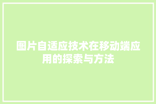 图片自适应技术在移动端应用的探索与方法 GoogleSEO