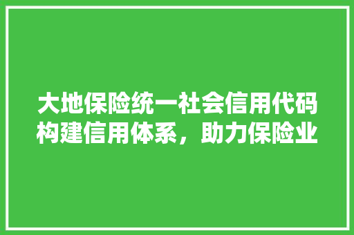 大地保险统一社会信用代码构建信用体系，助力保险业健康发展 必应SEO
