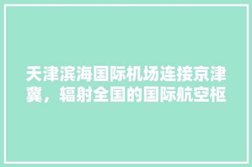 天津滨海国际机场连接京津冀，辐射全国的国际航空枢纽 神马SEO