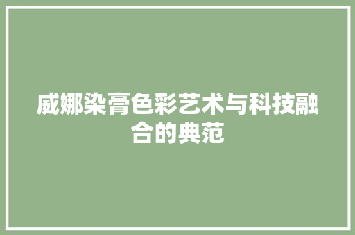 威娜染膏色彩艺术与科技融合的典范
