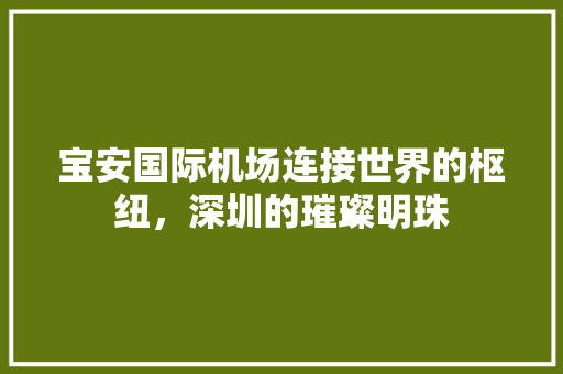 宝安国际机场连接世界的枢纽，深圳的璀璨明珠 必应SEO