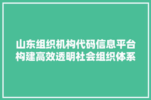 山东组织机构代码信息平台构建高效透明社会组织体系的关键 GoogleSEO
