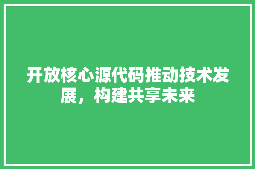 开放核心源代码推动技术发展，构建共享未来 百度SEO