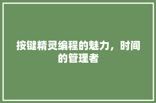 按键精灵编程的魅力，时间的管理者 神马SEO