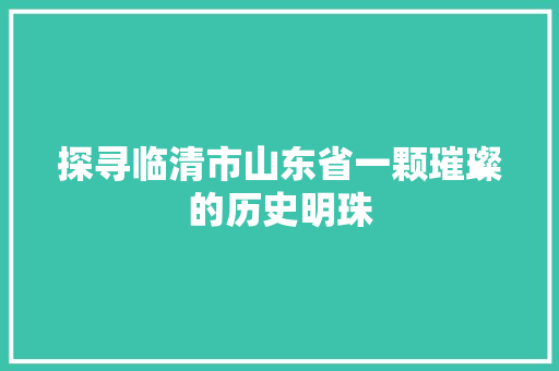 探寻临清市山东省一颗璀璨的历史明珠 GoogleSEO