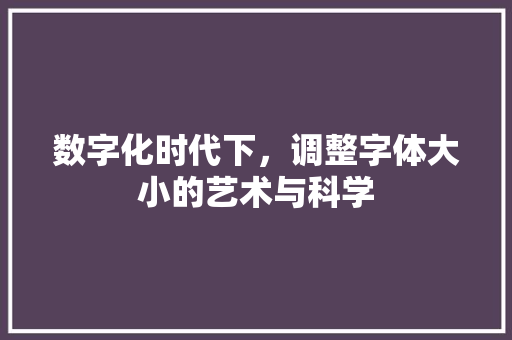 数字化时代下，调整字体大小的艺术与科学 GoogleSEO