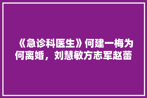 《急诊科医生》何建一梅为何离婚，刘慧敏方志军赵蕾之间发生了什么「为什么小大夫最后离婚了呢」 《急诊科医生》何建一梅为何离婚，刘慧敏方志军赵蕾之间发生了什么「为什么小大夫最后离婚了呢」 GoogleSEO