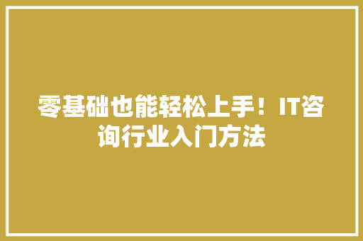 零基础也能轻松上手！IT咨询行业入门方法 GoogleSEO