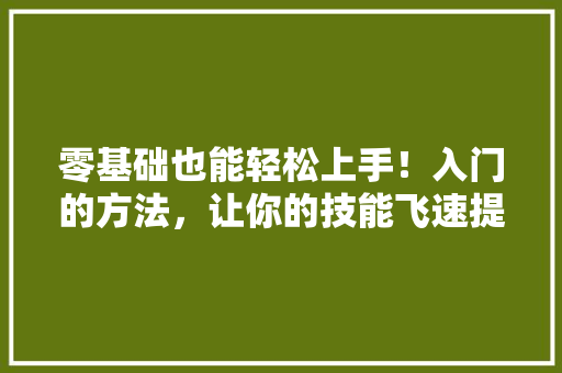 零基础也能轻松上手！入门的方法，让你的技能飞速提升！ 百度SEO