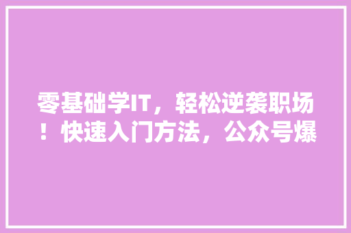 零基础学IT，轻松逆袭职场！快速入门方法，公众号爆款必看 神马SEO