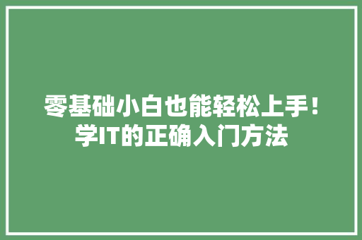 零基础小白也能轻松上手！学IT的正确入门方法 百度SEO