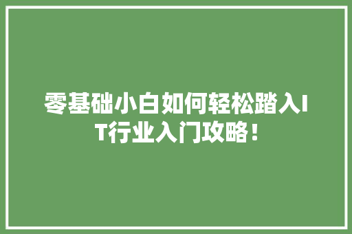 零基础小白如何轻松踏入IT行业入门攻略！ 百度SEO