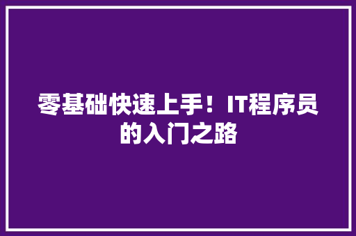 零基础快速上手！IT程序员的入门之路 必应SEO