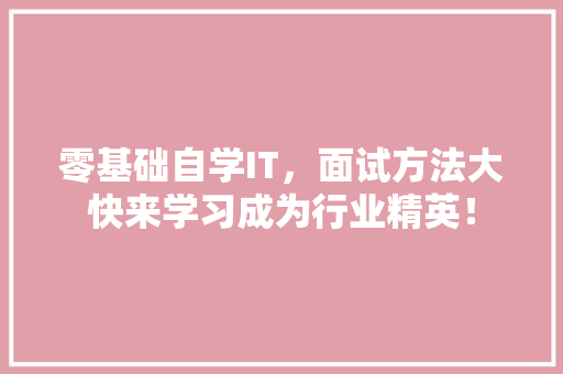 零基础自学IT，面试方法大快来学习成为行业精英！ 百度SEO